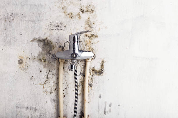 Best Home Mold Removal  in Lake Dunlap, TX