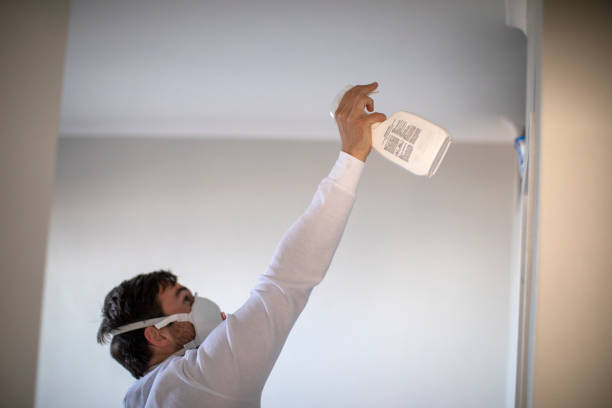 Best Crawl Space Mold Removal  in Lake Dunlap, TX