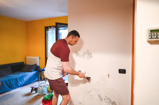 Best Mold Cleaning Services  in Lake Dunlap, TX