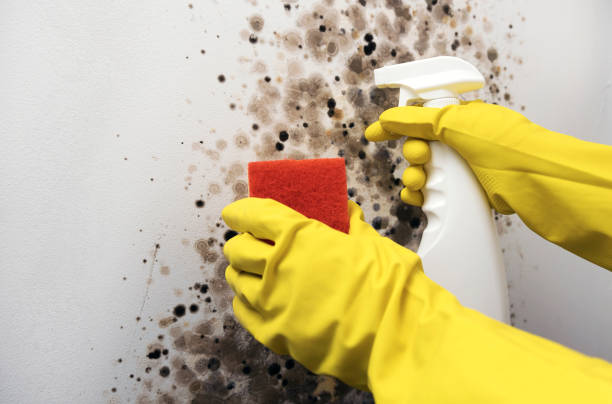 Water Damage Restoration in Lake Dunlap, TX